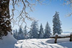 <b>想起的不仅是它的价值</b>