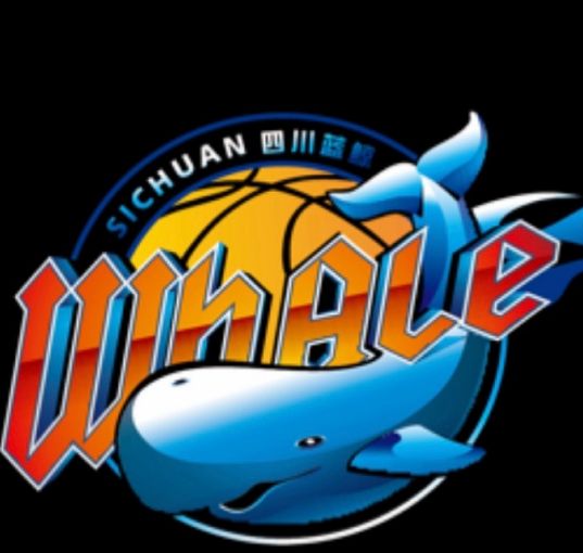 四川男篮注册新外援维纳莱斯 创CBA单赛季最长连